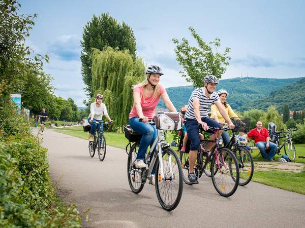 450_Fahrradtour © Heidelberg Marketing_Foto_Tobias Schwerdt.jpg